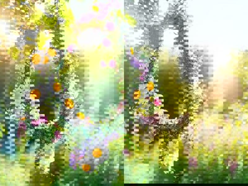 Öppettider i midsommar